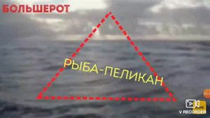 Кто Живёт На Дне Бермудского Треугольника