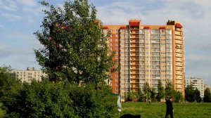 Улица Подвойского