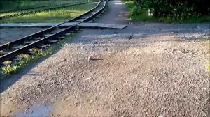 Малая Октябрьская Железная Дорога, в Санкт-Петербурге. ► Северная Трасса.