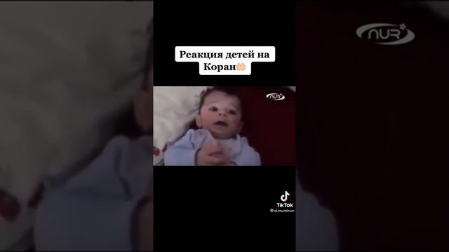 Реакция детей на Коран