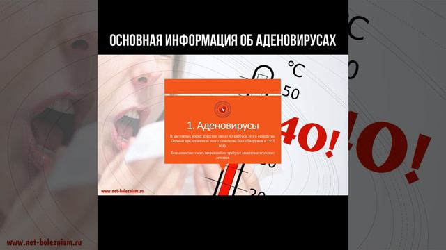 Основная информация об аденовирусах #аденовирус #вирусы