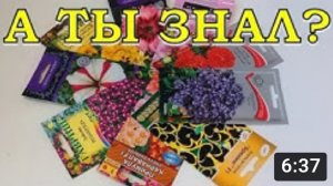 ЦВЕТЫ: срочно сеем в ФЕВРАЛЕ???