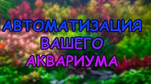 АВТОМАТИЗАЦИЯ ВАШЕГО АКВАРИУМА #АКВАМЕН