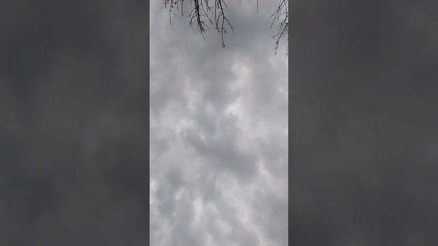 26.10.2023.ГОЛУБИ.....ВАЖНАЯ.ИНФОРМАЦИЯ.СЛУШАЕМ НЕ МОРГАЕМ?? смотреть онлайн