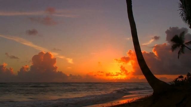 Tropical Beach. Beautiful Tropical Music.HD