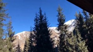 Альпийская Роза. Алматы, Казахстан