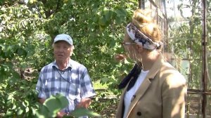 Груша Чижевская у Николая Пителина