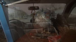 Болотный лунь.