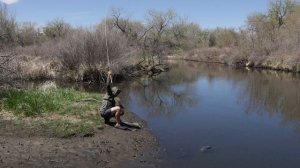 Fly Fishing For CARP on Tenkara - Is It Any Good?