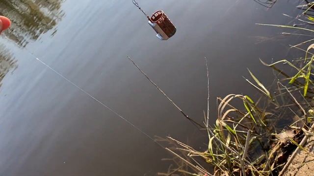 Рыбалка фидер 2023. Весенняя плотва на речке Псёл. смотреть онлайн