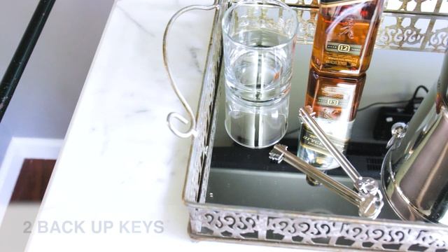 Sam's Club Exclusive 18 Gun Fire Safe