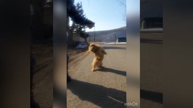 19.03.2022г. (Анучино)