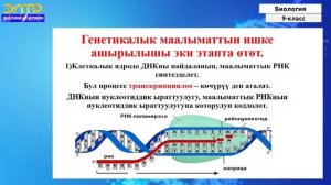 9-класс| Биология| Тукум куучулук, маалымат жана генетикалык коджана өзгөргүчтүк
