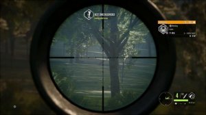 Wolves chase Red deer! Cuatro Colinas The Hunter Call of The Wild