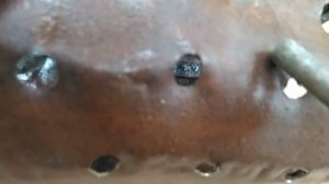 Как сделать терку для овощей и кормов