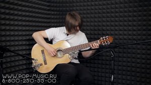 Классическая гитара FLIGHT C100