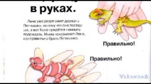 Содержание маленьких прытких ящериц в домашних условиях