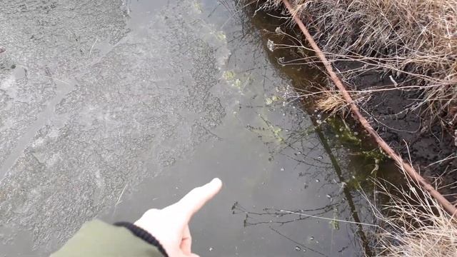 Весенний лёд на пруду. Что за зелень на пруду, SOS!? смотреть онлайн