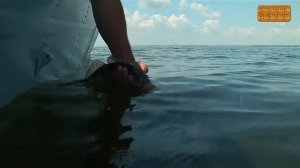 Рыбалка. Затон имени Куйбышева.