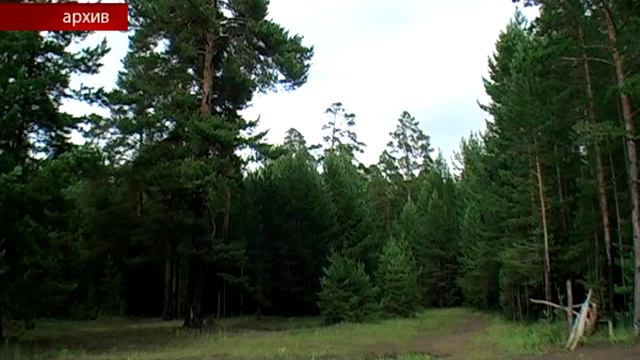 В Большеокинске пропавших детей нашли мёртвыми
