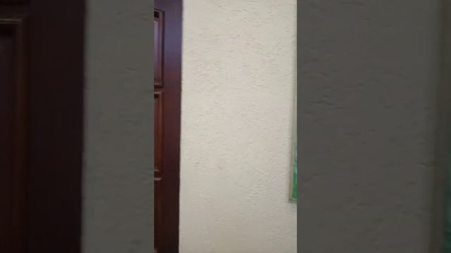 Летний букет от Александра Петровича Мицника ЧСХРФ работы продаются тел. 89536037597 обращайтесь смотреть онлайн