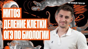 Митоз - деление клетки ОГЭ по биологии | Федор Агеев