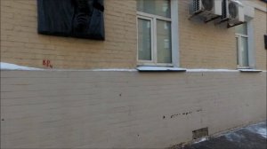 Москва. Прогулка по 1-ому Колобовскому переулку (04.02.2022)