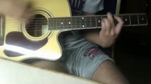 Blink-182 - What's My Age Again Acoustic Cover