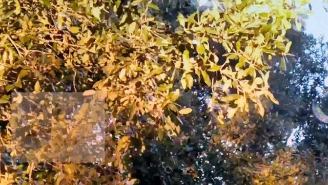 ОСВОБОЖДЕНИЕ ОТ НЕГАТИВА / ДУХОВНАЯ ПРАКТИКА / ТЕБЕ ЛЮБОВЬ Я ПОСЫЛАЮ / ПОЭЗИЯ ДУШИ