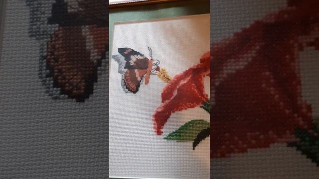 Конспект на тему:"Превращение гусеницы в бабочку" смотреть онлайн