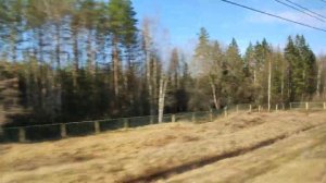 ЭВС Сапсан Санкт-Петербург-Москва 19 апреля 2021 Класс 2Е Вагон-бистро Sapsan High Speed Train