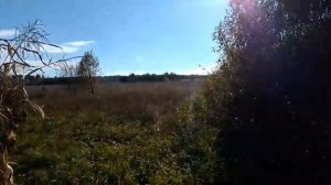 Поиск металлолома с металлоискателем вдоль кукурузных полей. коп 2021