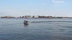 Лодка Ока-4 2007г.