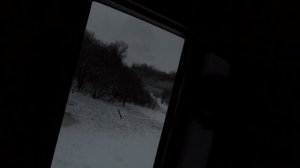 Охота с блочным луком на кабана.