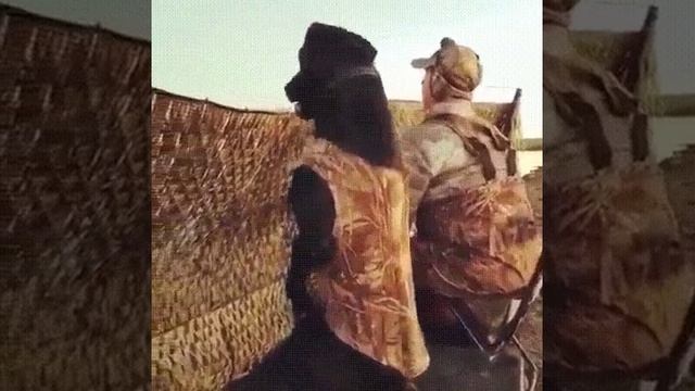 — Петрович, ты птиц видишь? А они есть !.mp4 смотреть онлайн