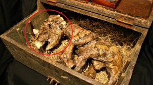 Разбирая старинный особняк строители наткнулись на очень странную находку!