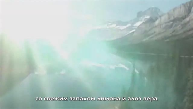 Ecover жидкость для мытья посуды www ecovershop ru смотреть онлайн