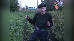 Как получить тонну картофеля с сотки? #urozhainye_gryadki