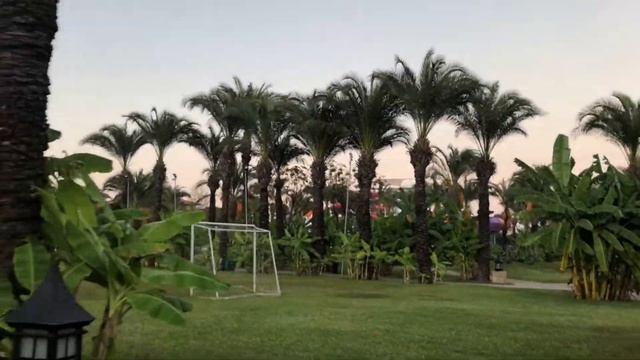 Где растут бананы смотреть онлайн