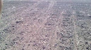 Посев подсолнуха упс 8