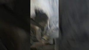 Дайхатсу Хайджет Карго (МОПС)  Daihatsu haijet. Небольшое ТО.