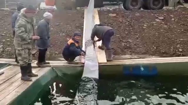 ФОРЕЛЕВАЯ ФЕРМА В ГАФУРИЙСКОМ РАЙОНЕ РЕСП.БАШКОРТОСТАН В д.МЕНДИМ.