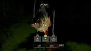 ПРОВЕРКА КЛЁВОЙ ТОЧКИ НА ОКУНЯ, ОЗ. СТАРЫЙ ОСТРОГ. ЧАСТЬ 5 #рр4