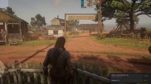Fix Blur in Red Dead Redemption 2 (AMD Cards)