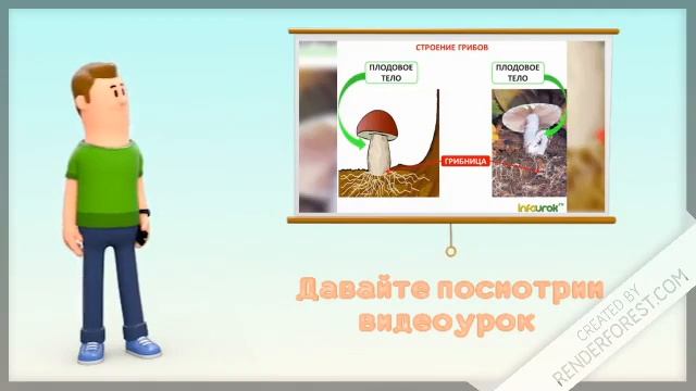 "Царство Грибы" Общая характеристика. смотреть онлайн