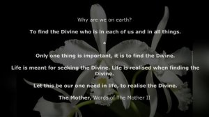 31. The Aim of Existence is Realised - Spiritual Significance of Flowers - The Mother