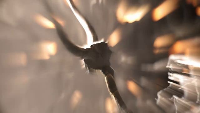 Bravia XR cognitive intelligence Processor смотреть онлайн