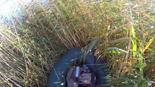 ОХОТА В СИБИРИ НА СЕВЕРНУЮ УТКУ (Конец сентября 2021) смотреть онлайн