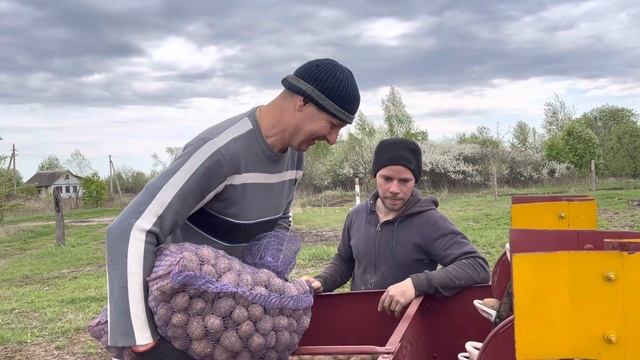 Первая картофельная борозда! (Сорт «Гала», 3 репродукция). смотреть онлайн