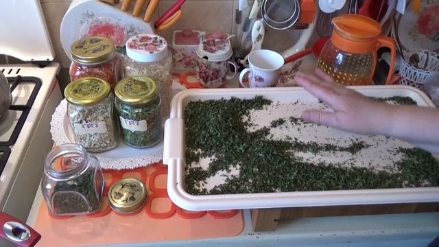 Сушим коренья и зелень для ароматного бульона смотреть онлайн